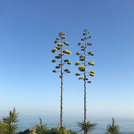 Marbella - Frontline Apartment Estepona